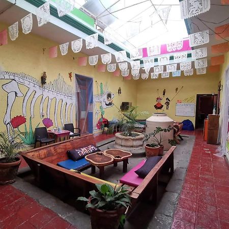 Iguana Hostel Oaxaca Kültér fotó