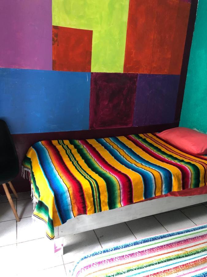 Iguana Hostel Oaxaca Kültér fotó