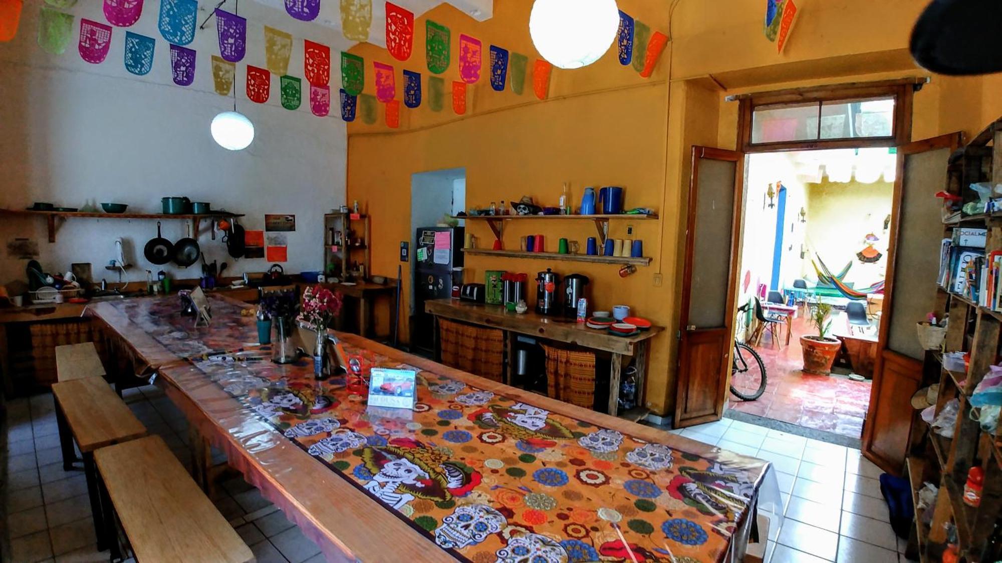 Iguana Hostel Oaxaca Kültér fotó