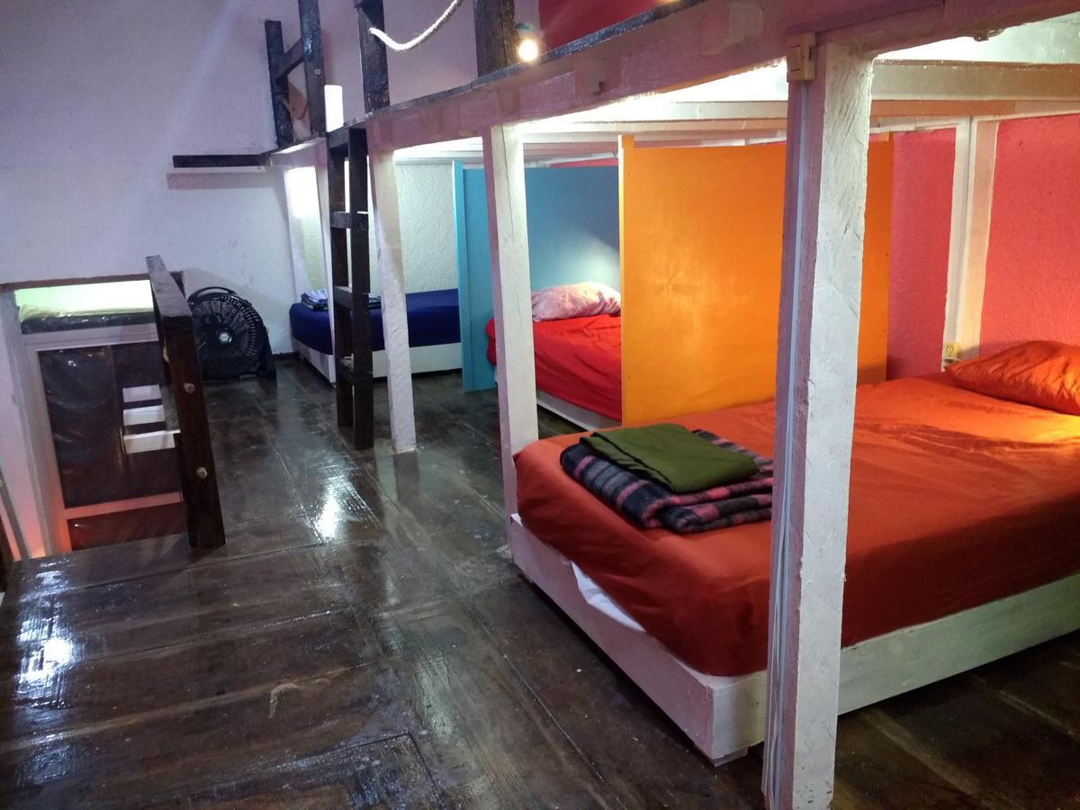 Iguana Hostel Oaxaca Kültér fotó