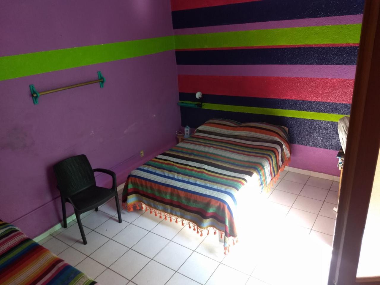 Iguana Hostel Oaxaca Kültér fotó