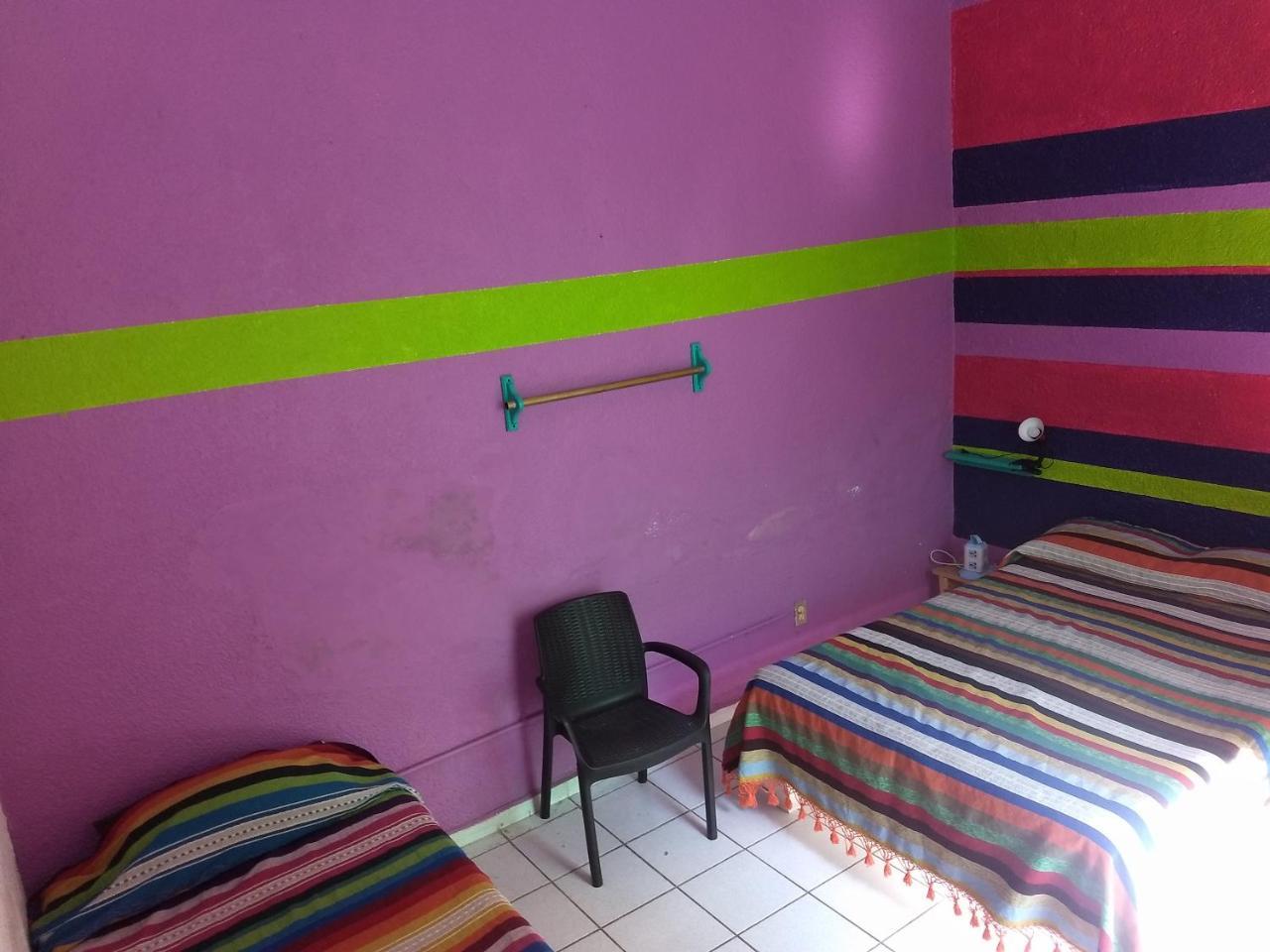 Iguana Hostel Oaxaca Kültér fotó